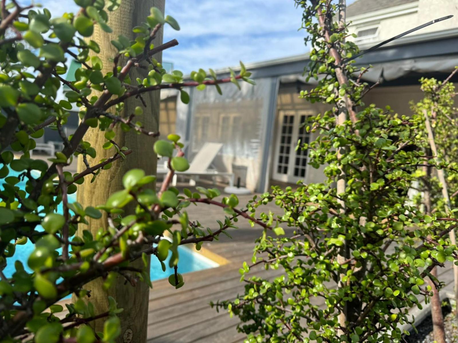 The Place Muizenberg Εξωτερικό φωτογραφία